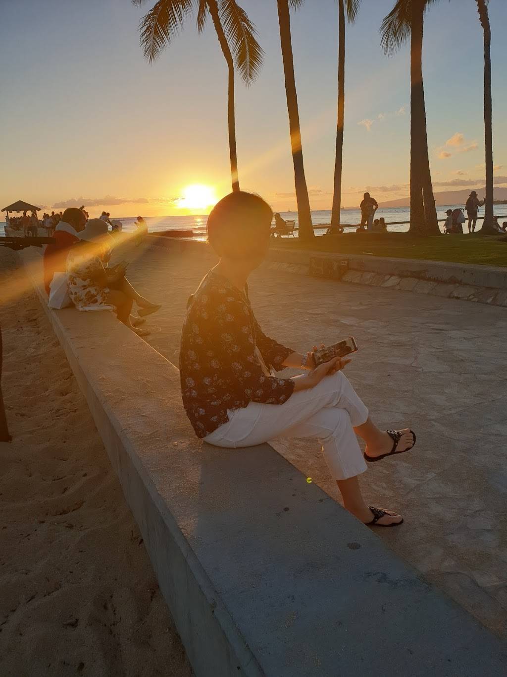 테디스 비거버거(동물원지점) | restaurant | 134 Kapahulu Ave, Honolulu, HI 96815, USA | 8089263444 OR +1 808-926-3444