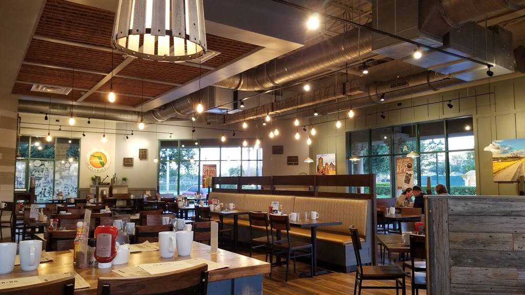 First Watch - South I Drive | cafe | 11951 International Dr Ste A, Orlando, FL 32821, USA | 4077967050 OR +1 407-796-7050