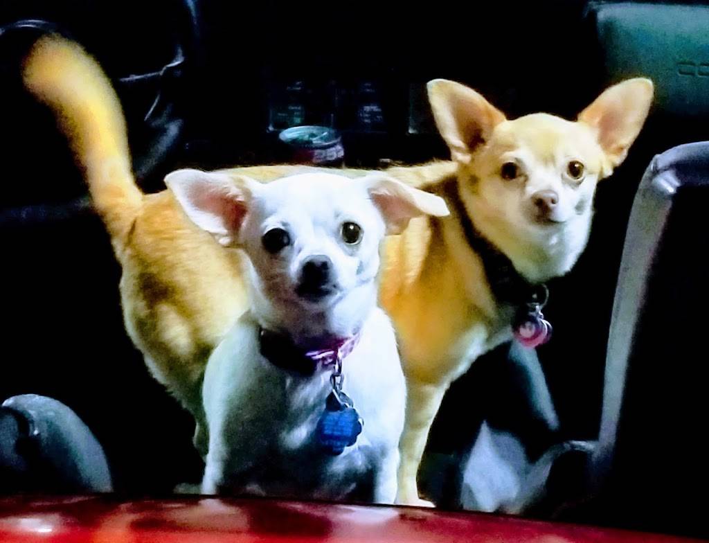 Dairy Queen | restaurant | 400 SE Douglas St, Lees Summit, MO 64063, USA | 8165247470 OR +1 816-524-7470