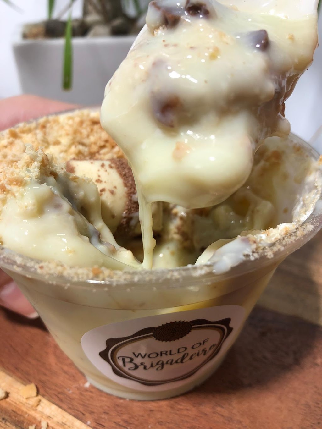 World of Brigadeiro | restaurant | 4241 W Hillsboro Blvd, Coconut Creek, FL 33073, USA | 9544884597 OR +1 954-488-4597