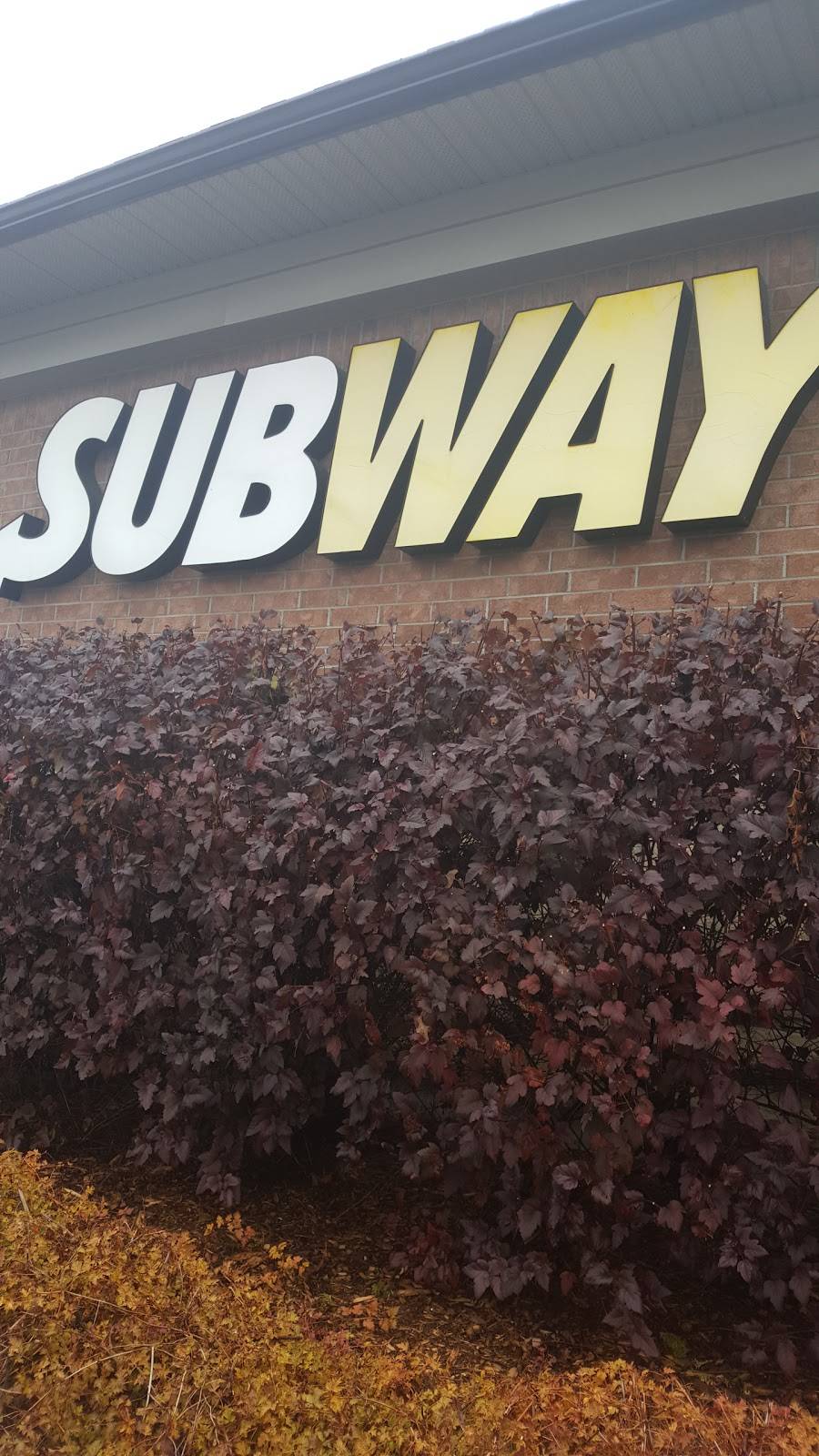 Subway | restaurant | 20 Carrefour Du Plateau, Gatineau, QC J9A 3A2, Canada | 8197754224 OR +1 819-775-4224