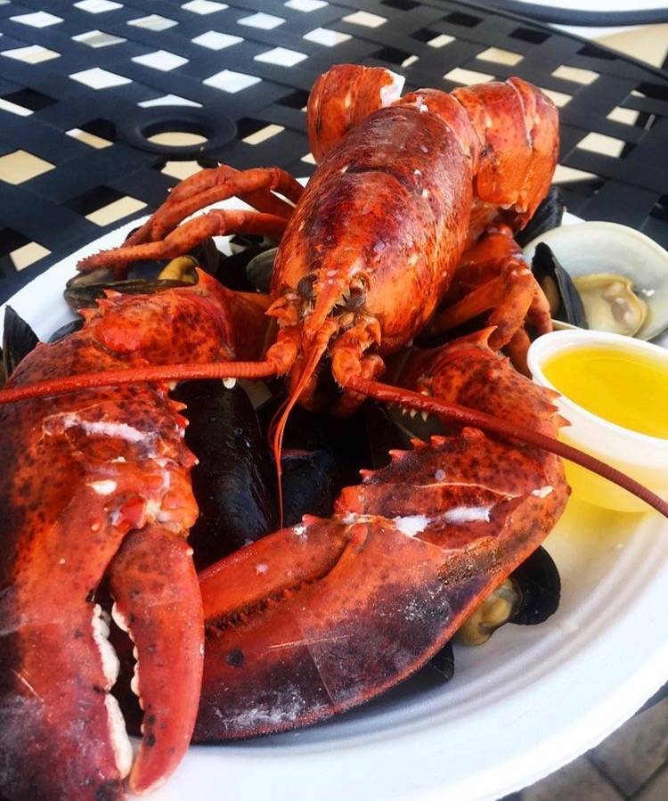 Bayside Clam & Grill Bar | restaurant | 300 Bayview Ave, East Islip, NY 11730, USA | 6312779100 OR +1 631-277-9100