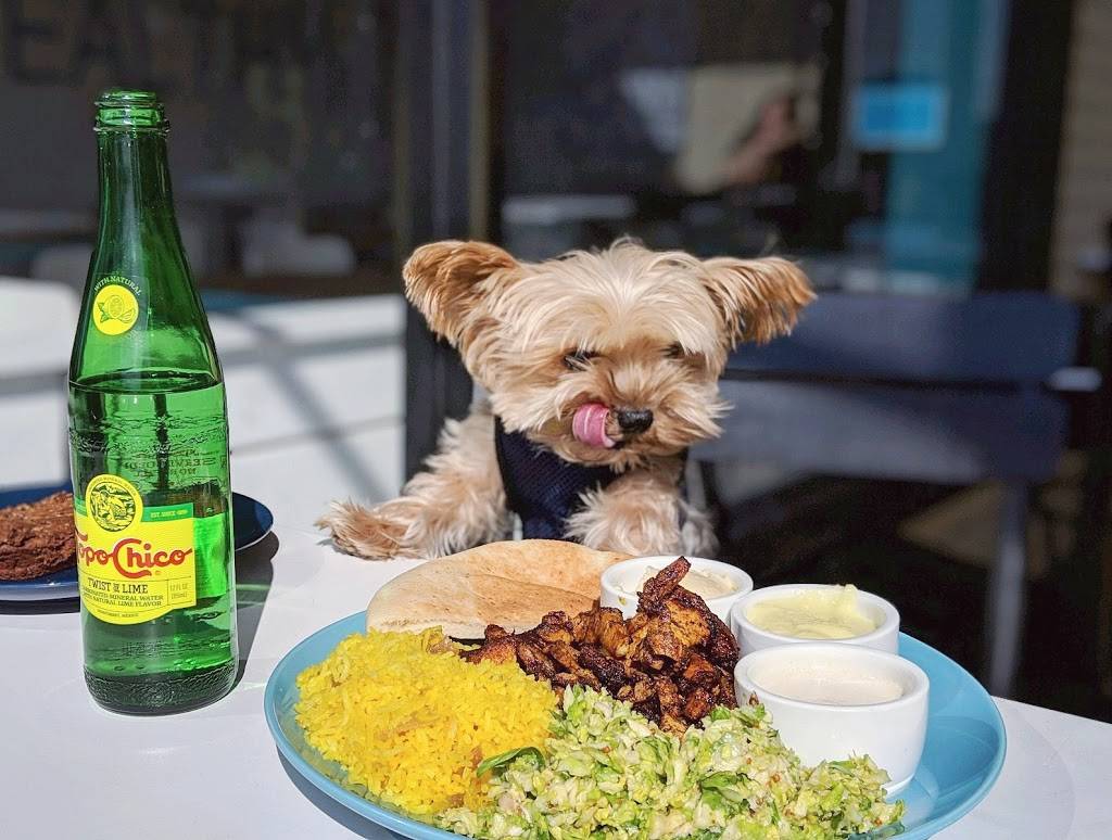 MAYAS MODERN MEDITERRANEAN | restaurant | 9540 Garland Rd c362, Dallas, TX 75218, USA | 9727070646 OR +1 972-707-0646