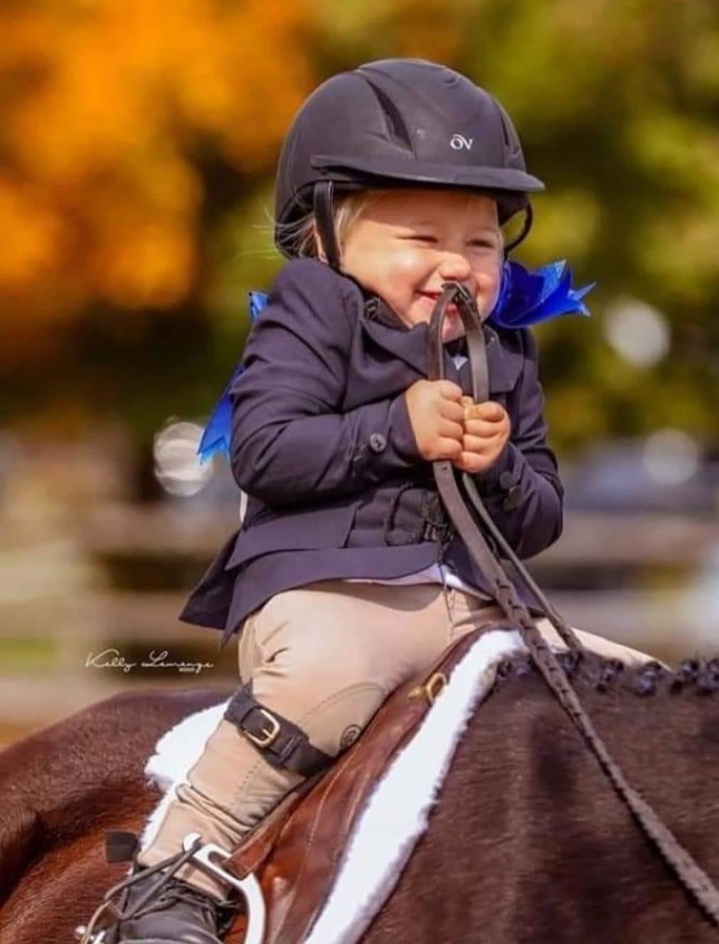 TANNER RIBS | restaurant | 15239 Lake Pickett Rd, Orlando, FL 32820, USA | 4079253283 OR +1 407-925-3283