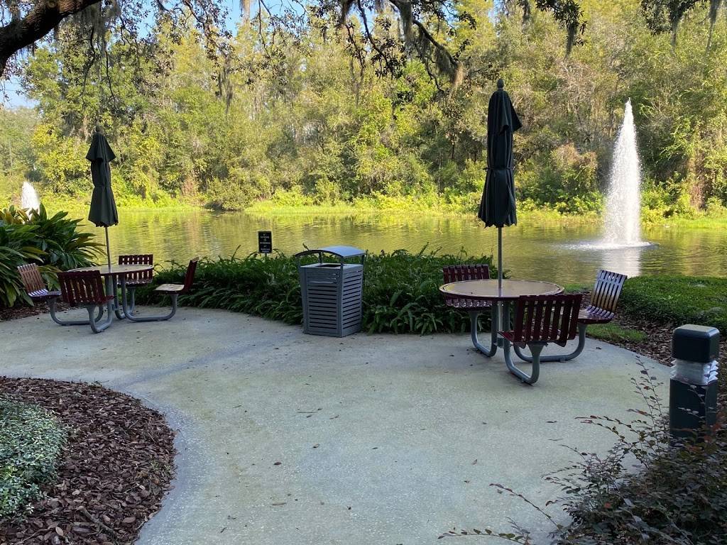 Romas place cafe | restaurant | 8875 Hidden River Pkwy Suite 125, Tampa, FL 33637, USA | 8136969844 OR +1 813-696-9844