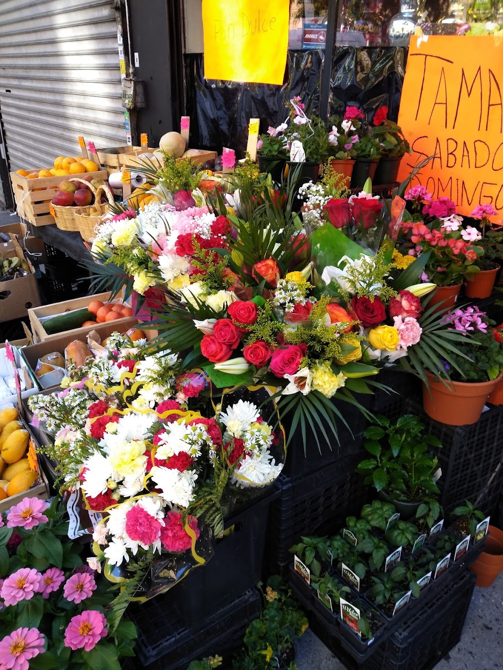 La Familia Markets | restaurant | 3113 Bainbridge Ave, Bronx, NY 10467, USA | 9292224221 OR +1 929-222-4221