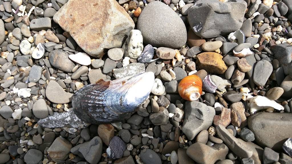 Moss Beach Distillery | restaurant | 140 Beach Way, Moss Beach, CA 94038, USA | 6507285595 OR +1 650-728-5595