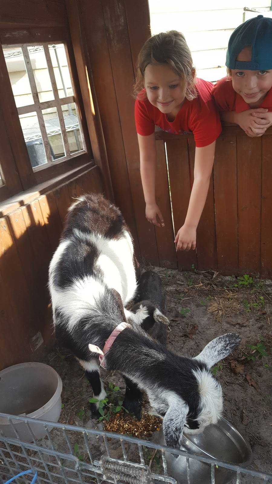 4 Trees Smokehouse Inc. | restaurant | 1948 Henley Rd, Middleburg, FL 32068, USA | 9042143041 OR +1 904-214-3041