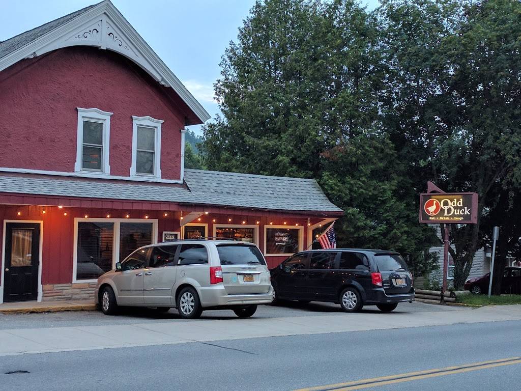 Odd Duck | restaurant | 6332 U.S. 9, Chestertown, NY 12817, USA | 5184948226 OR +1 518-494-8226