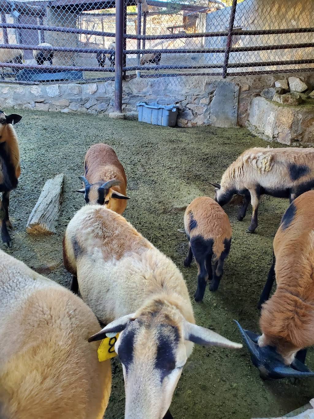 Indian Cliffs Ranch | restaurant | 3450 San Felipe, Fabens, TX 79838, USA | 9157642283 OR +1 915-764-2283