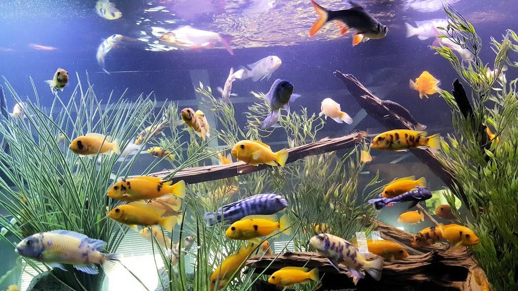 Cheddars Scratch Kitchen | restaurant | 2085 Interchange Rd, Erie, PA 16509, USA | 8148649249 OR +1 814-864-9249