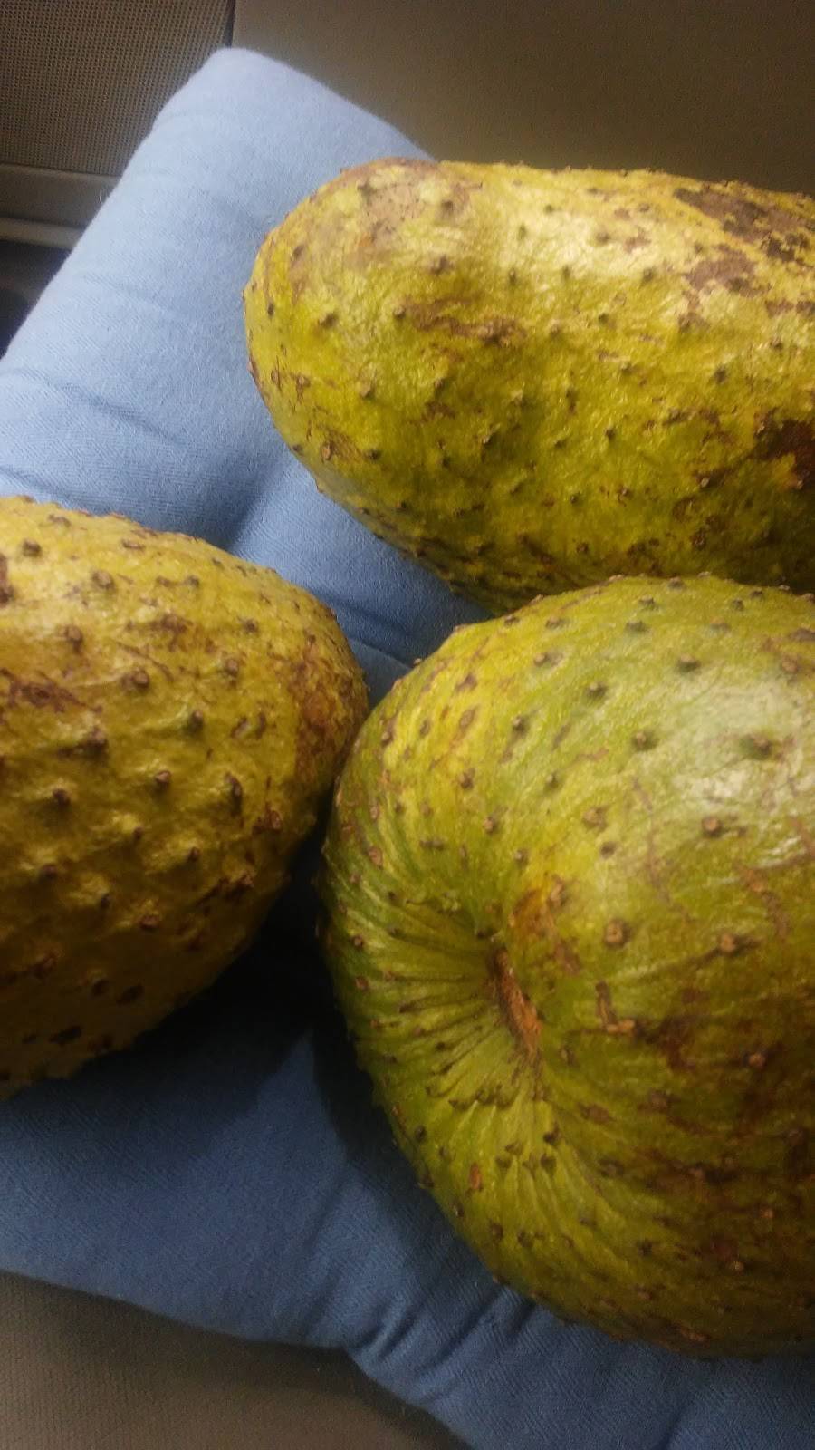 La Nueva Alameda Cafeteria | restaurant | 2400 NW 27th Ave, Miami, FL 33142, USA | 3056380422 OR +1 305-638-0422