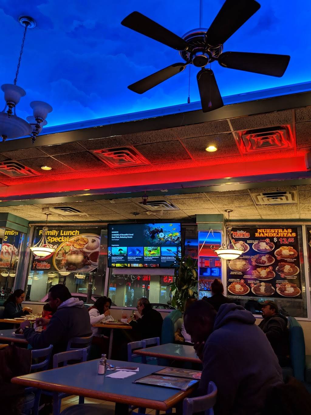 Pollos Doña Maria | restaurant | 93-03 Jamaica Ave, Woodhaven, NY 11421, USA | 7188054000 OR +1 718-805-4000