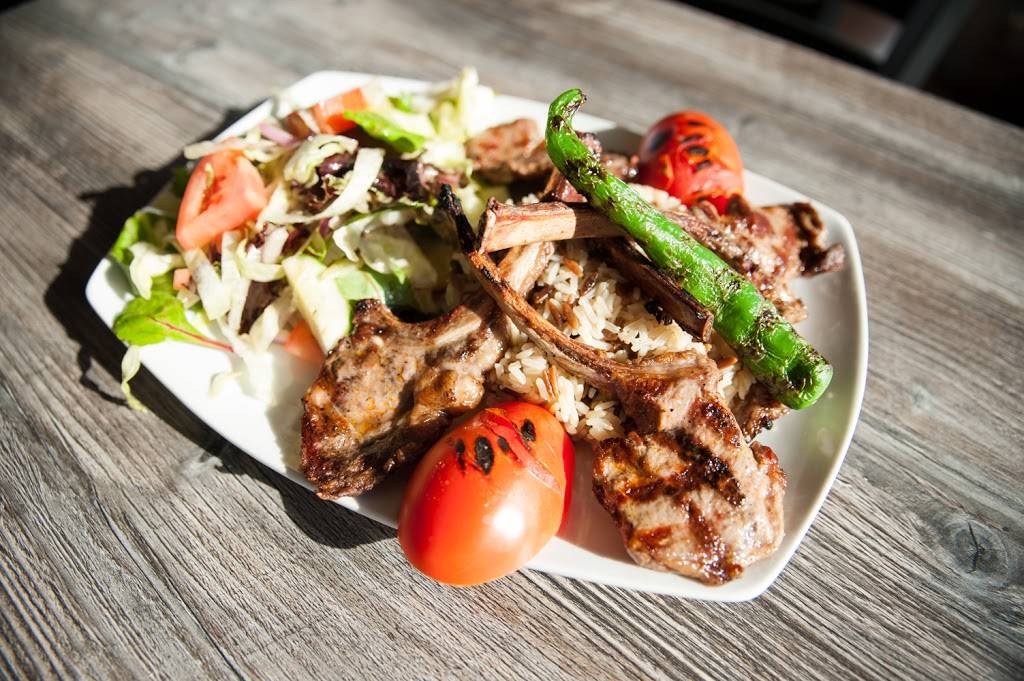 Pita Mediterranean Gyro And Grill | restaurant | 66-39 Fresh Pond Rd, Ridgewood, NY 11385, USA | 8889907482 OR +1 888-990-7482