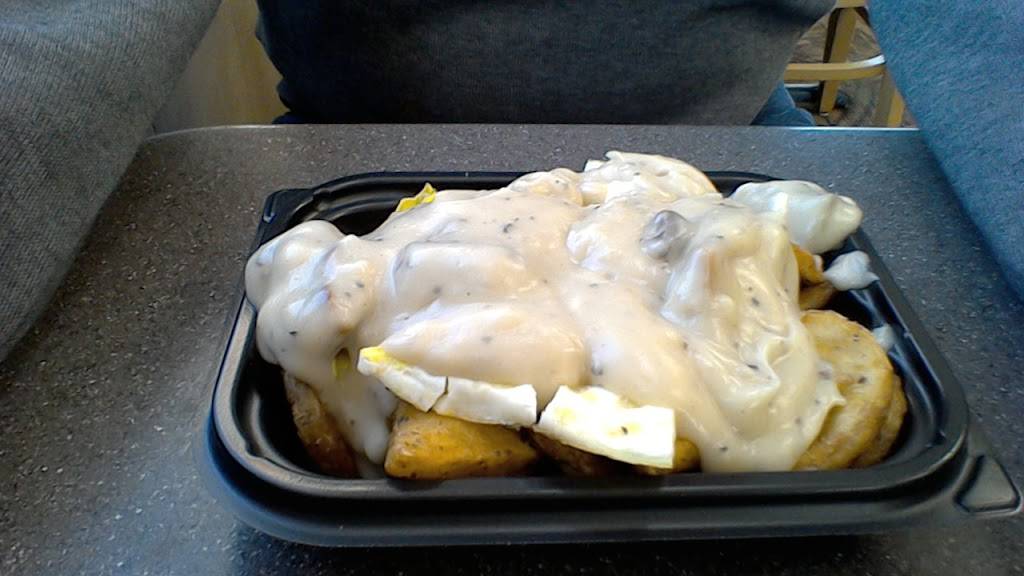 Wendys | restaurant | 2120 Lpga Blvd, Daytona Beach, FL 32117, USA | 3862369905 OR +1 386-236-9905