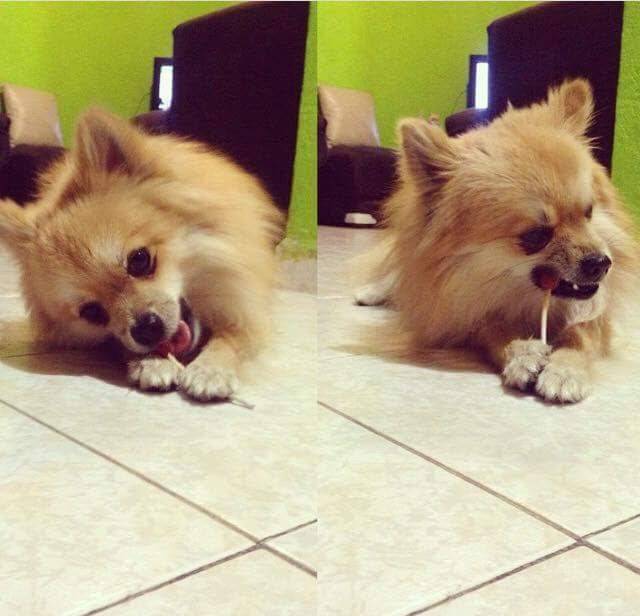 Luis Burguers | restaurant | Long Beach, CA 90802, USA | 3109940587 OR +1 310-994-0587