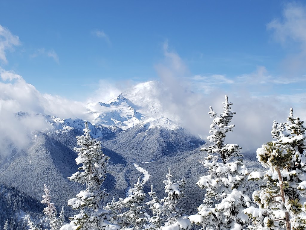 Campbell Basin Lodge | restaurant | Fardoggle, Enumclaw, WA 98022, USA | 3606633099 OR +1 360-663-3099