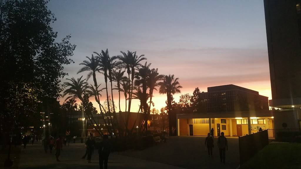 Carls Jr. | restaurant | 5151 State University Dr, Los Angeles, CA 90032, USA | 3233436780 OR +1 323-343-6780