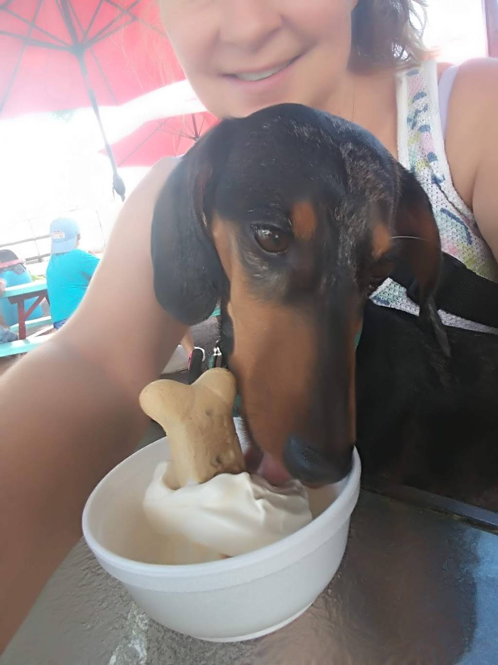 Tasty Freeze | restaurant | 2309 N Weber St, Colorado Springs, CO 80907, USA | 7193449073 OR +1 719-344-9073