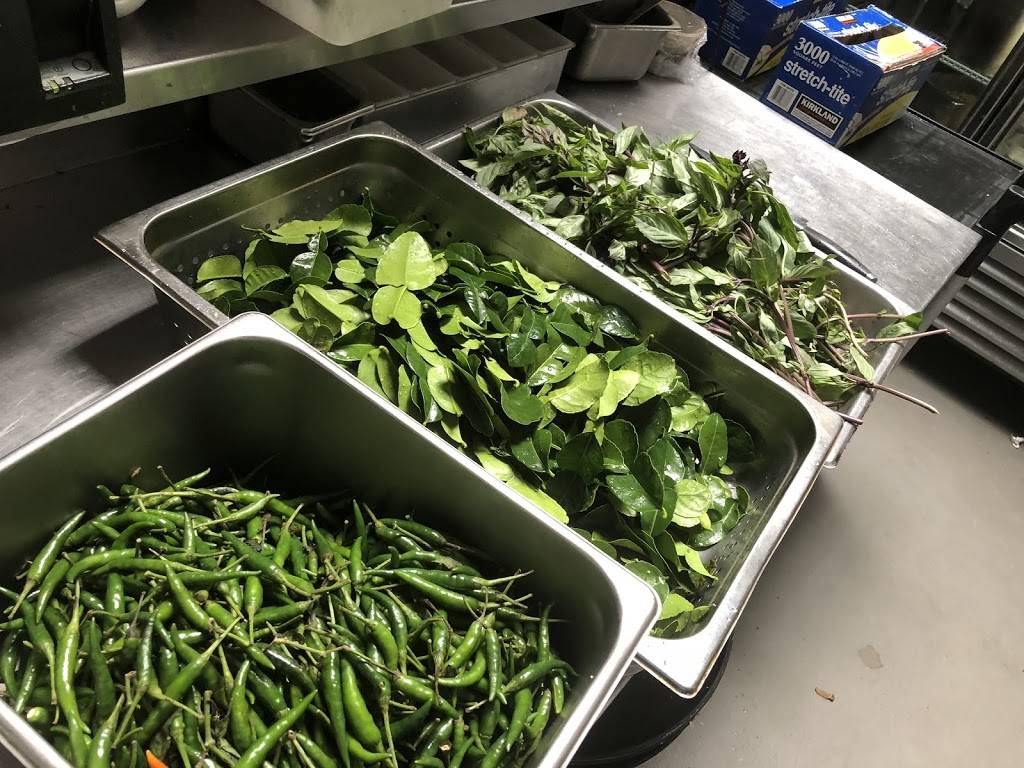 Minimango Thai bistro(new name Mango on main) | restaurant | 1142 Main St, Napa, CA 94559, USA | 7072538880 OR +1 707-253-8880