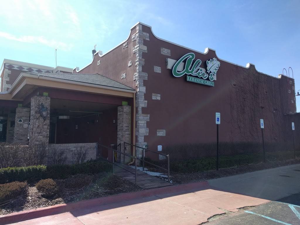 Alies Lebanese Grill | restaurant | 33355 Van Dyke Ave, Sterling Heights, MI 48312, USA | 5869782000 OR +1 586-978-2000