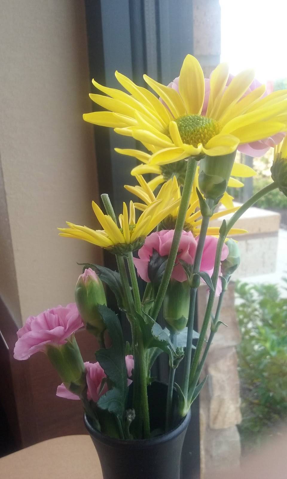 Chick-fil-A | restaurant | 951 NE Coronado Dr, Blue Springs, MO 64014, USA | 8162202321 OR +1 816-220-2321