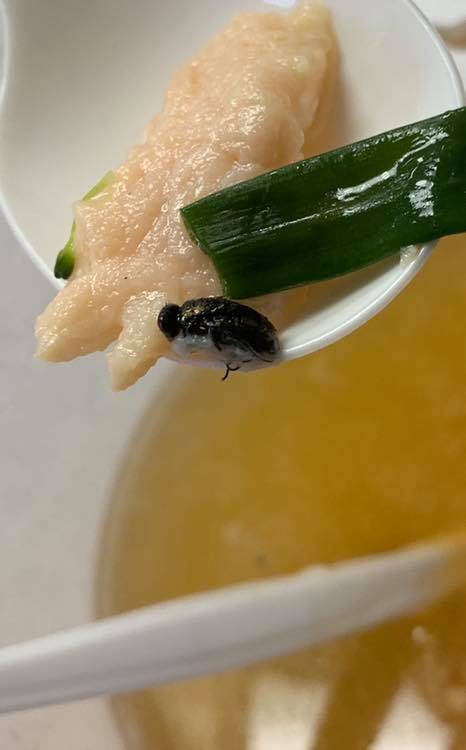 China Chef | restaurant | 1323 FL-7, North Lauderdale, FL 33068, USA | 9549717188 OR +1 954-971-7188