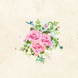 Absolute Perfection Bra-Tique | restaurant | 839 Lee-Grant Ave, Appomattox, VA 24522, USA | 4343520233 OR +1 434-352-0233