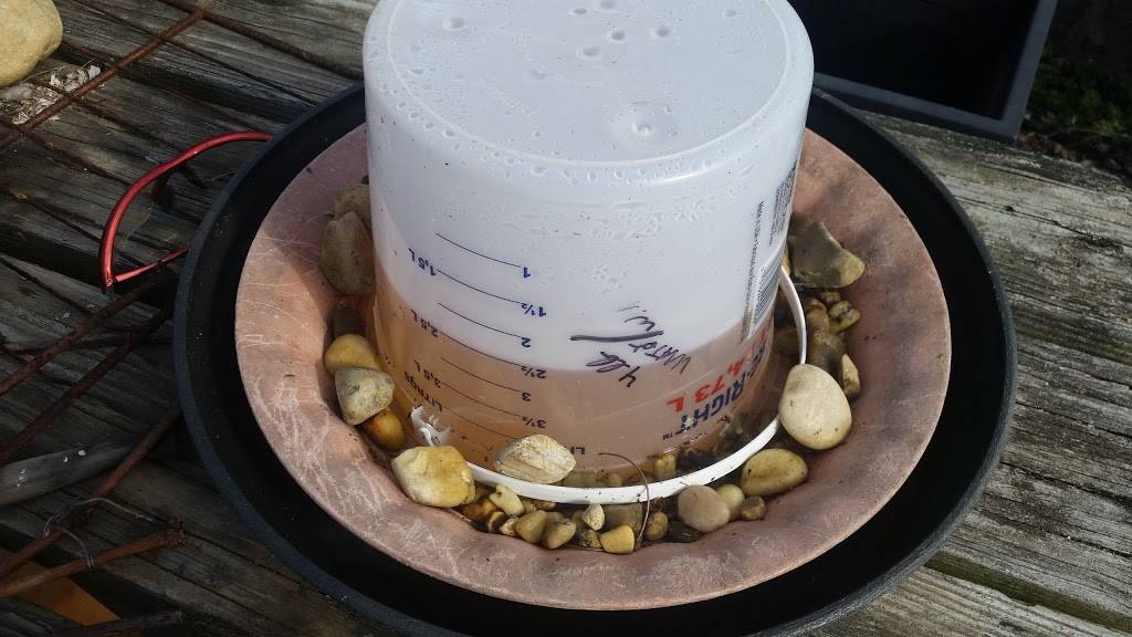 Greensboro La Delizia | restaurant | 322 N Main St, Greensboro, MD 21639, USA | 4104828224 OR +1 410-482-8224