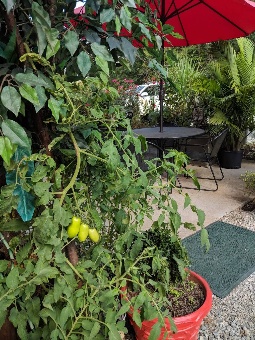 El Restaurante Ixtapa | restaurant | 162 Exchange Park Ln, Hillsborough, NC 27278, USA | 9196446944 OR +1 919-644-6944