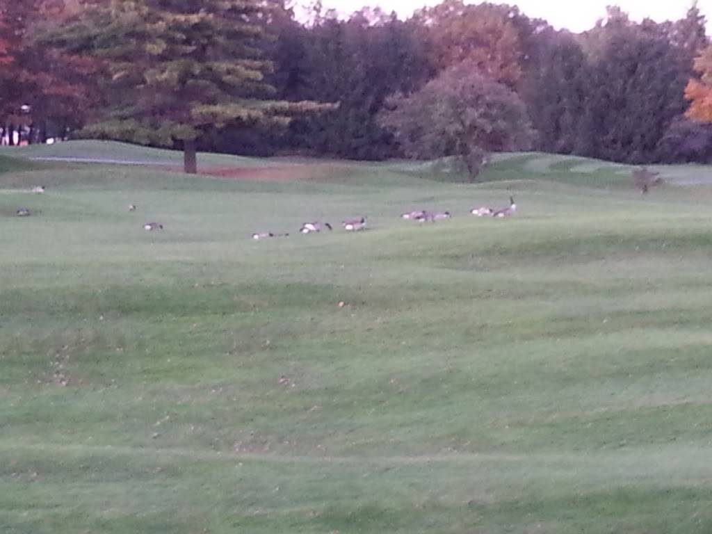 The Summit Grill | restaurant | 4815 Old U.S. Highway 27, Gaylord, MI 49735, USA | 9897059070 OR +1 989-705-9070