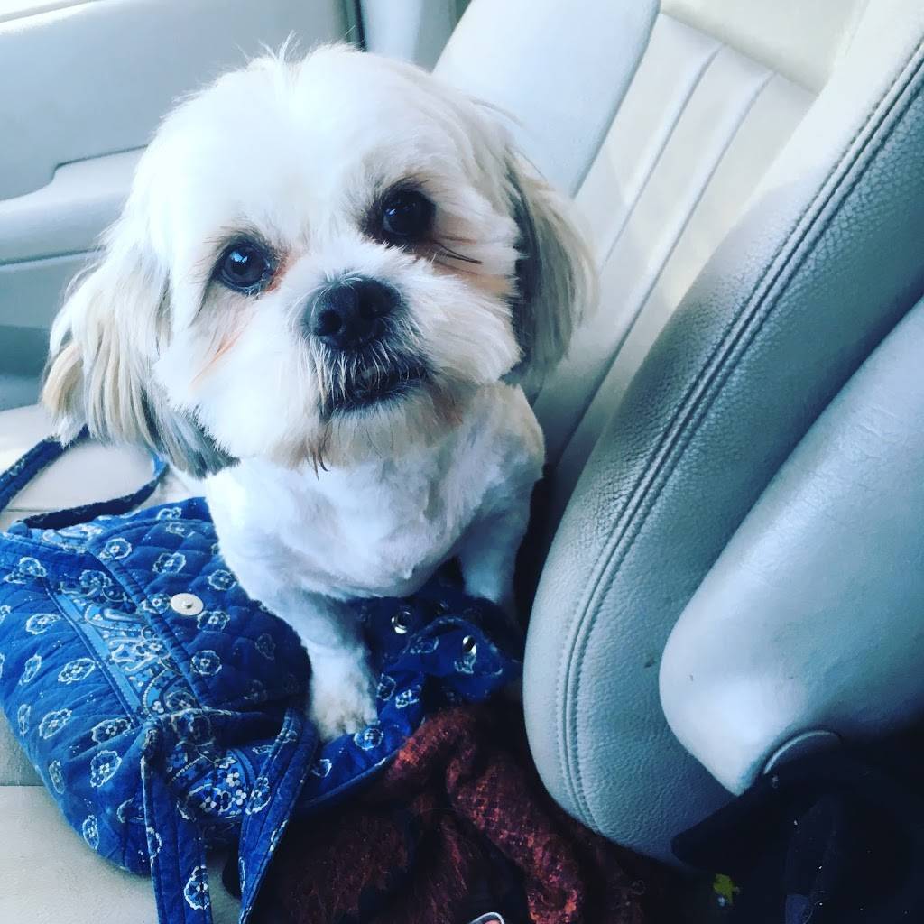 The Chinchilla Beer Porch | restaurant | 7337 SE Foster Rd, Portland, OR 97206, USA | 5034823784 OR +1 503-482-3784