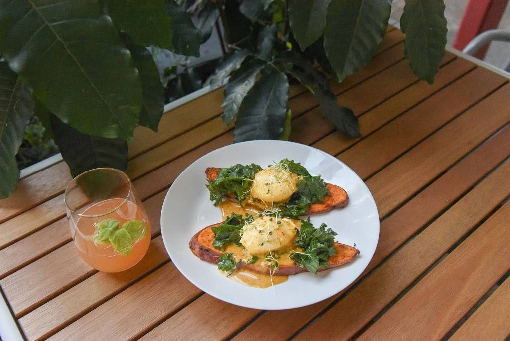 Bird of Paradise New Smyrna Beach | restaurant | 114 Flagler Ave, New Smyrna Beach, FL 32169, USA | 3864027527 OR +1 386-402-7527