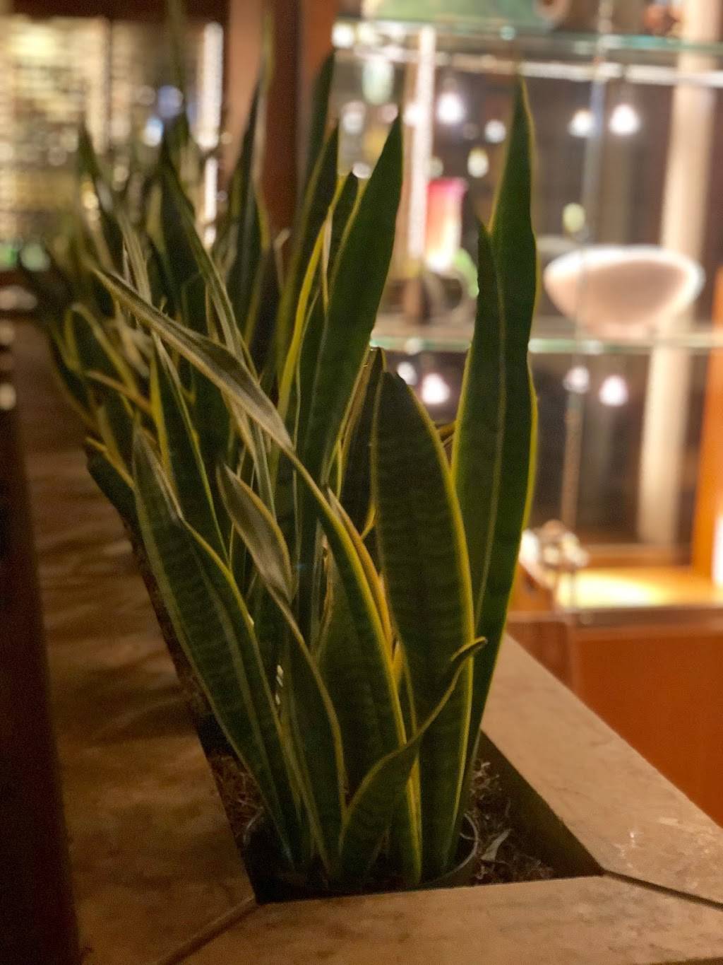 Waters Edge | cafe | 2815 Jorie Blvd, Oak Brook, IL 60523, USA | 6305681234 OR +1 630-568-1234