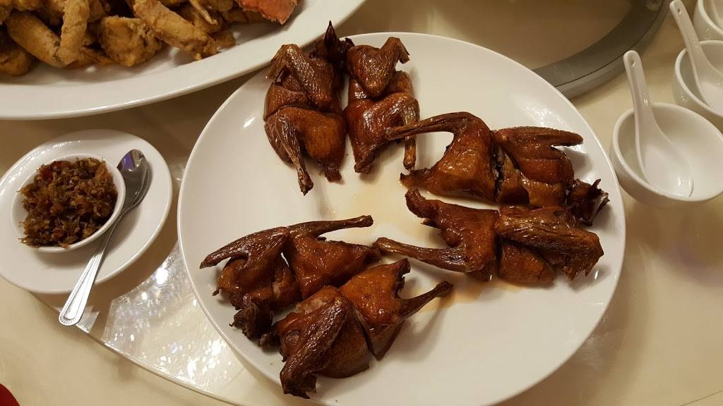 Dynasty | restaurant | 1001 Story Rd, San Jose, CA 95122, USA | 4082866668 OR +1 408-286-6668