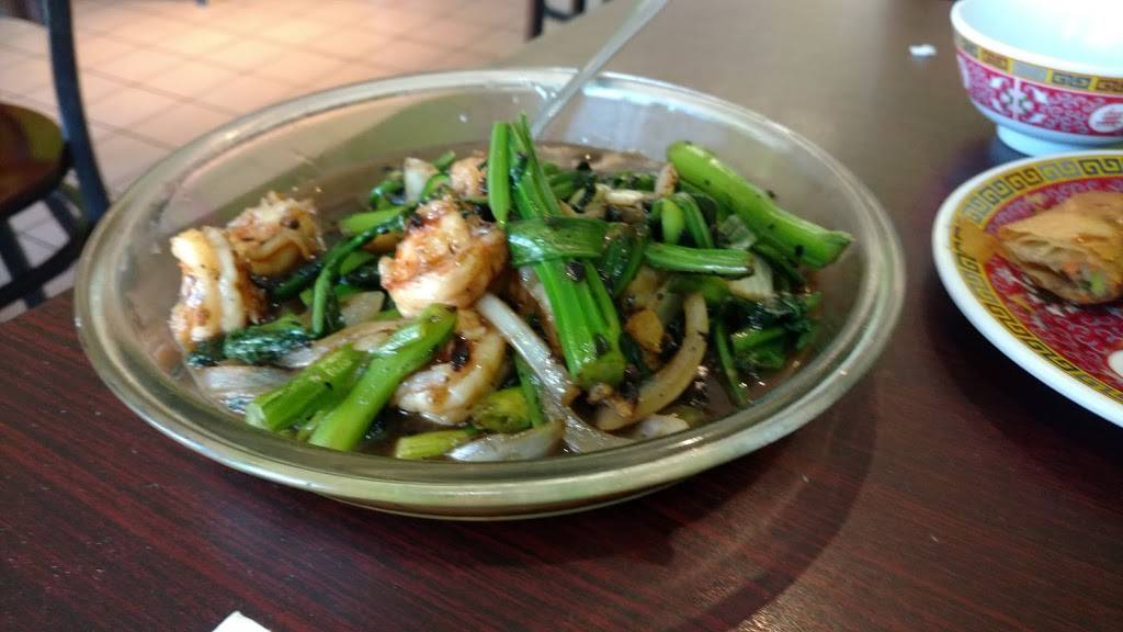 Ocean Palace | restaurant | 68 Central Ave, Albany, NY 12206, USA | 5184342888 OR +1 518-434-2888