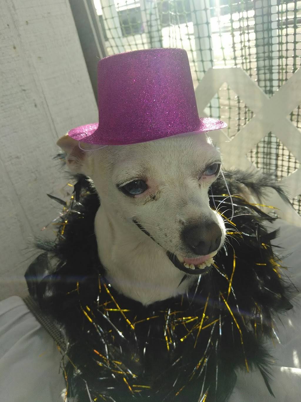 YUM.GURU | restaurant | 701 E Okeechobee Rd, Hialeah, FL 33010, USA | 3056735437 OR +1 305-673-5437