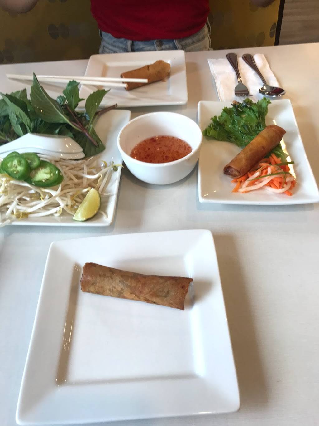 Pho Phu Linh | restaurant | 4741 Main St, Skokie, IL 60076, USA | 8472130881 OR +1 847-213-0881