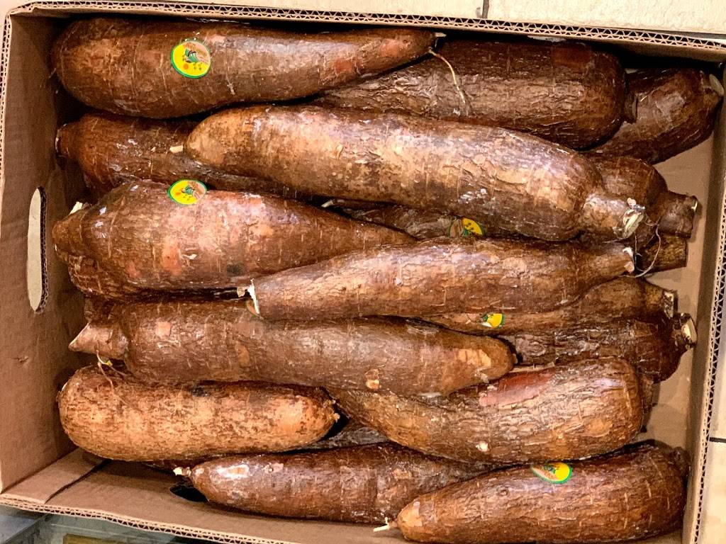 NEW YORK LANKA INC. | restaurant | 313 Victory Blvd, Staten Island, NY 10301, USA | 7185248124 OR +1 718-524-8124