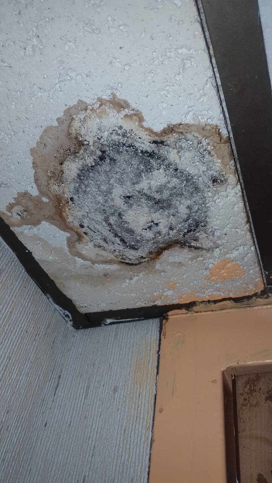 Chopsticks | restaurant | 416 E Broadway, Louisville, KY 40202, USA | 5025899145 OR +1 502-589-9145