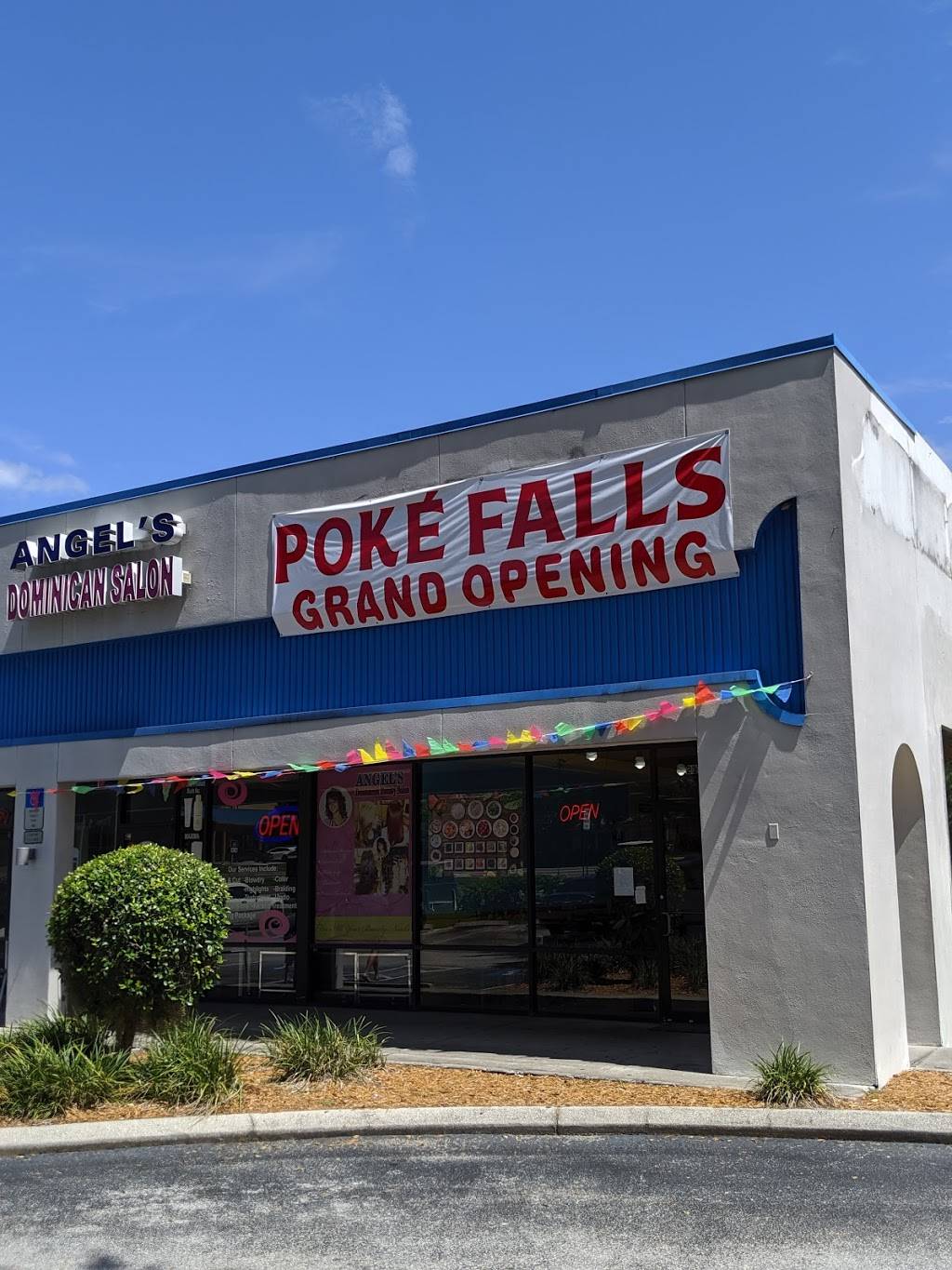 Poké Falls | restaurant | 2102 W Brandon Blvd, Brandon, FL 33511, USA | 8132781002 OR +1 813-278-1002