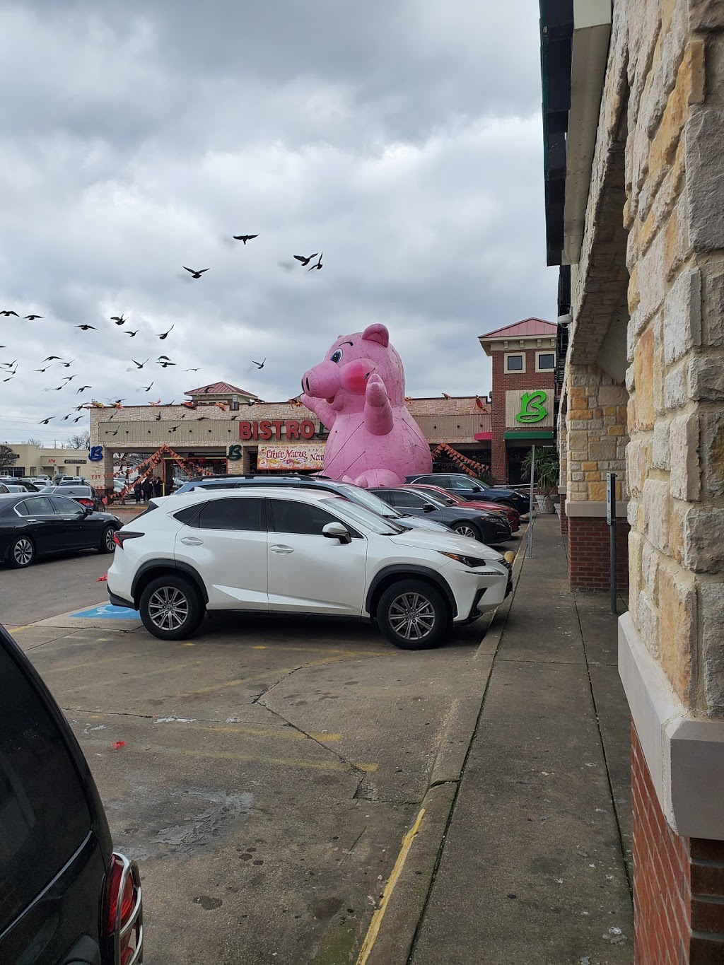 Tuyêt Tofu | restaurant | Dallas, TX 75243, USA | 9728898638 OR +1 972-889-8638