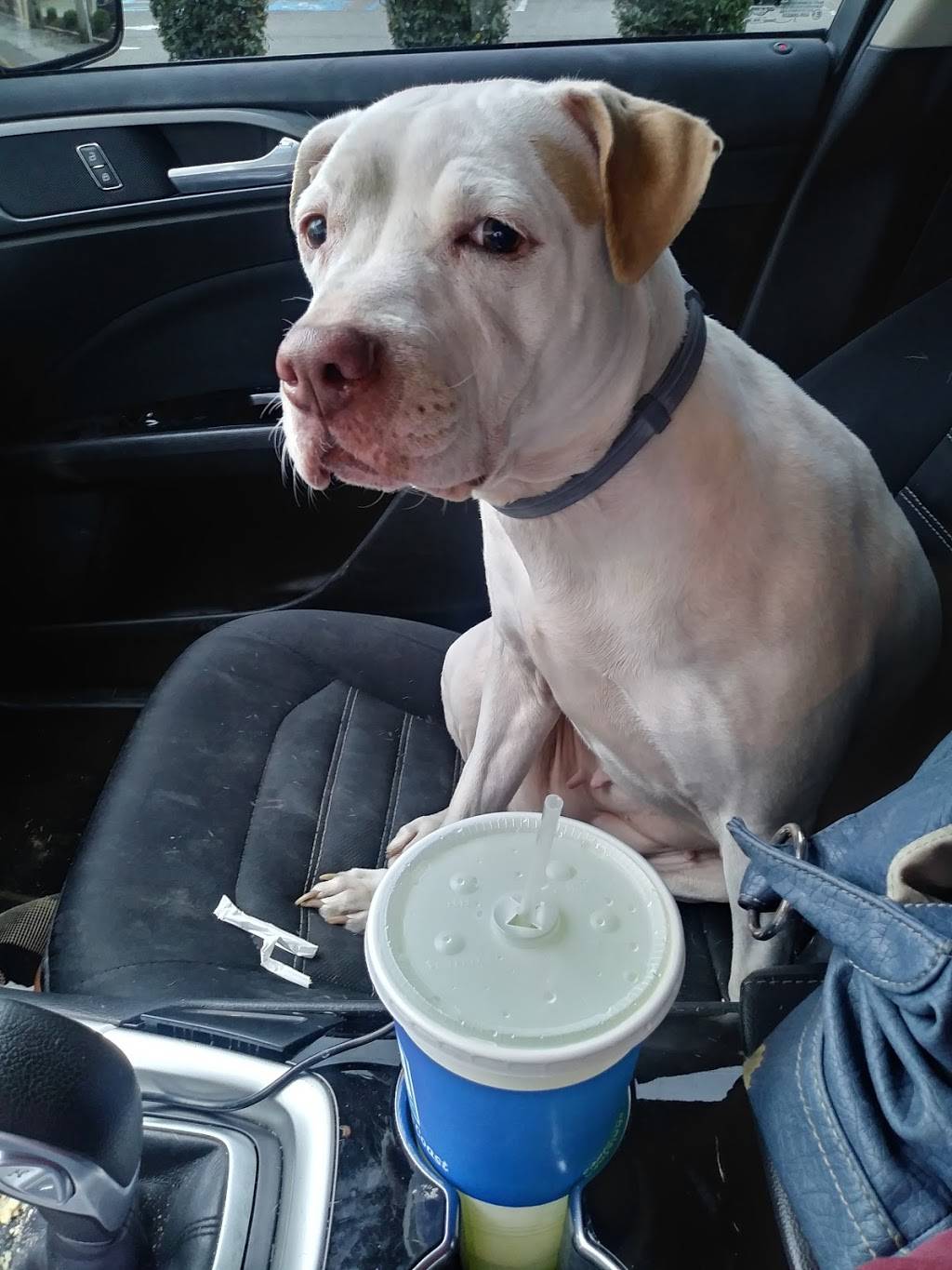 Captain Ds | restaurant | 3057 Covington Pike, Memphis, TN 38128, USA | 9013846966 OR +1 901-384-6966