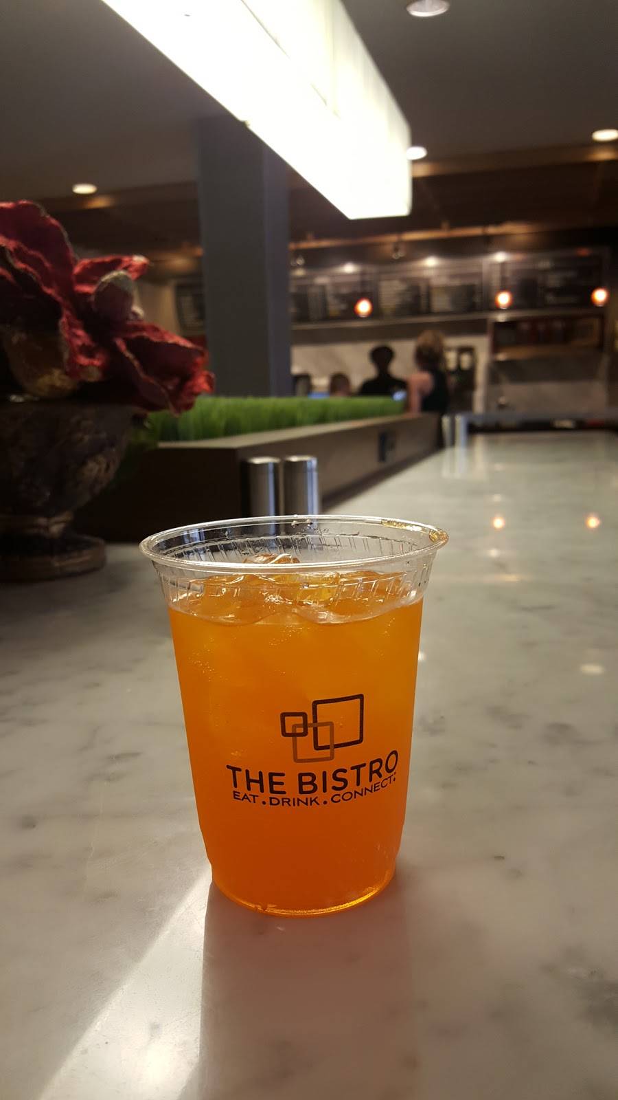 The Bistro – Eat. Drink. Connect.® | restaurant | 102 E Cass St, Tampa, FL 33602, USA | 8132291100 OR +1 813-229-1100