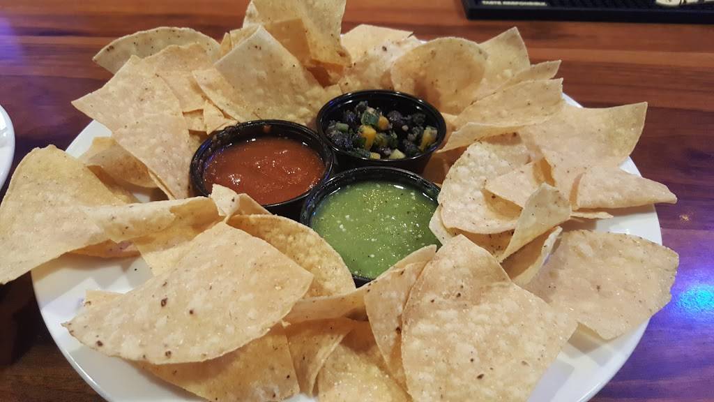 CITY DOG CANTINA | restaurant | 1208 E Kennedy Blvd #114, Tampa, FL 33602, USA | 8132802999 OR +1 813-280-2999