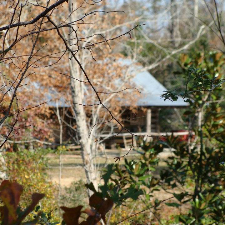 Ethridge Farm Bed and Breakfast | restaurant | 103 S Williford Rd, Kountze, TX 77625, USA | 4092463978 OR +1 409-246-3978