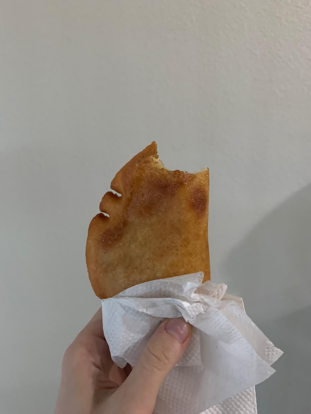 Leles snack corp | restaurant | 11205 Orange Blossom Trail, Orlando, FL 32837, USA | 7864284048 OR +1 786-428-4048