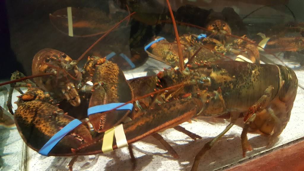 Red Lobster | restaurant | 2707 S 140th St, West Omaha, NE 68144, USA | 4023300162 OR +1 402-330-0162