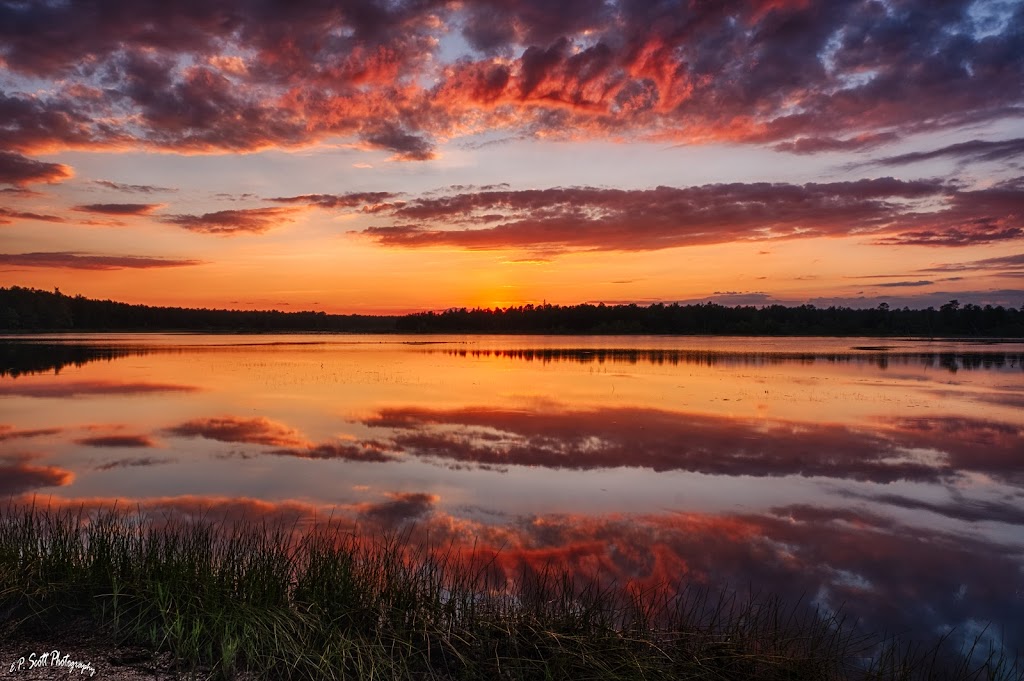 Burger King | restaurant | 215 N Davis Ave, Cleveland, MS 38732, USA | 6625468053 OR +1 662-546-8053