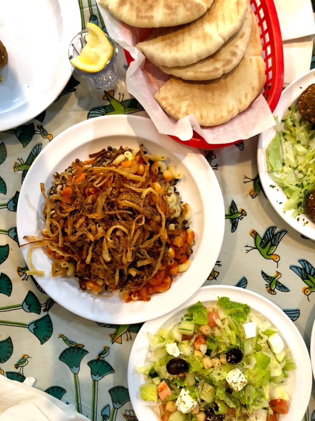 Cairo Kebab | restaurant | 1524 W Fullerton Ave, Chicago, IL 60614, USA | 7736878413 OR +1 773-687-8413